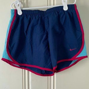 Nike Navy and Pink 3” Running Shorts